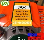 چاله کن فرغونی.